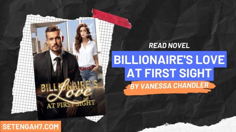 Billionaire's Love at First Sight Novel