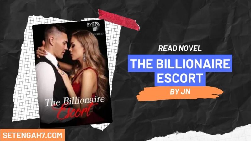 The Billionaire Escort Novel