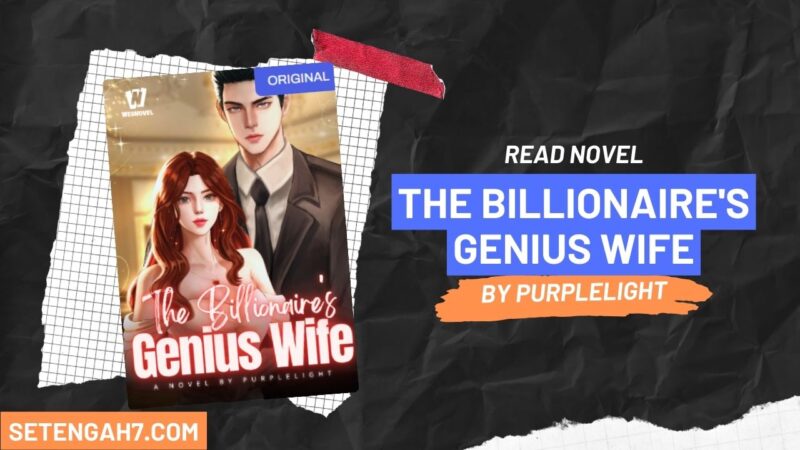 The Billionaire's Genius Wife Novel