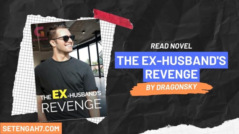 The Ex-Husband's Revenge Novel