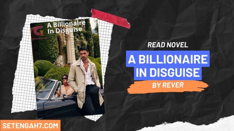 A Billionaire In Disguise Novel