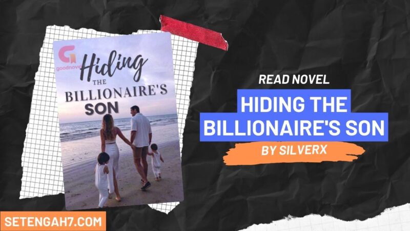 Hiding the Billionaire's Son Novel