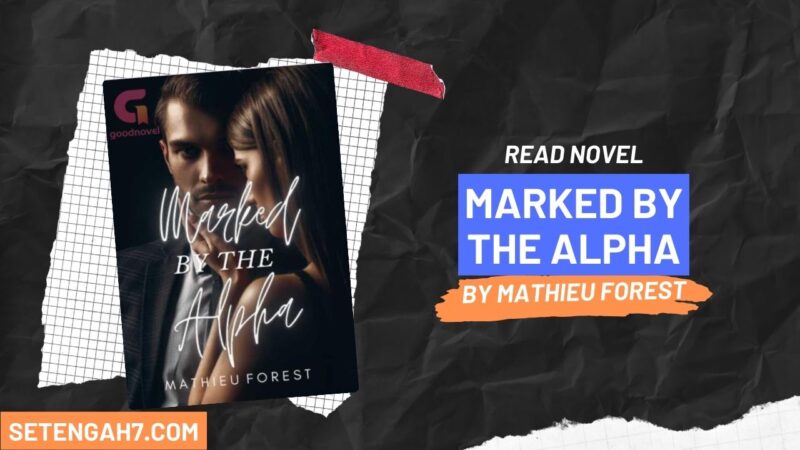 Marked by the Alpha Novel