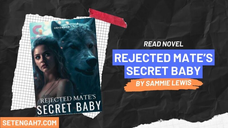 Rejected Mate’s Secret Baby Novel